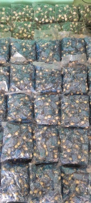 Qurt ishlab chiqaramiz