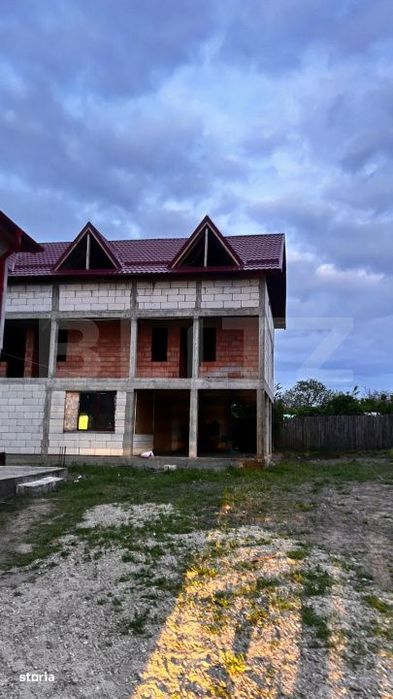 Doua case, spatiu comercial, casa tip pensiune Goicea Dolj