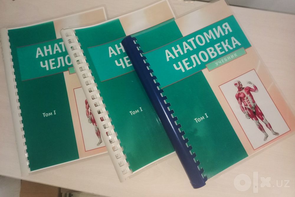 «Анатомия человека» Том 1
