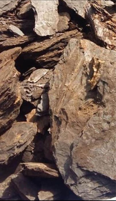 Cărbune lignit pentru centale termice