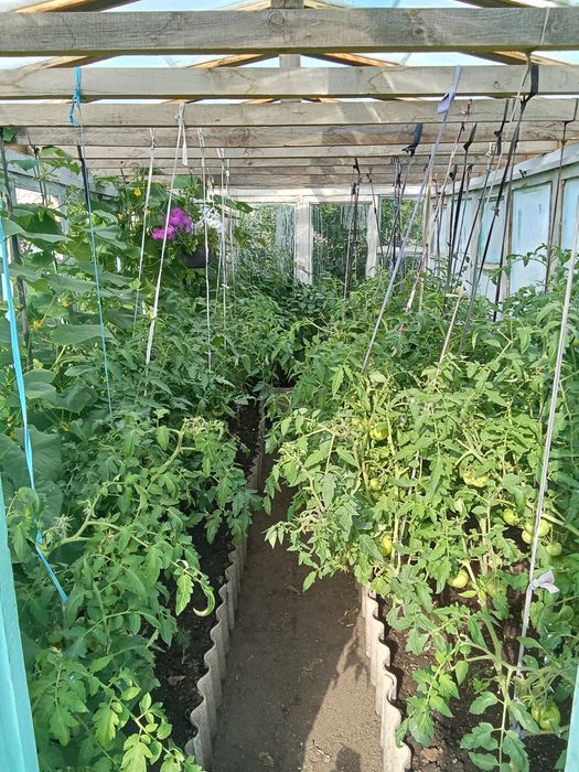 Продам дачу в 4 обществе