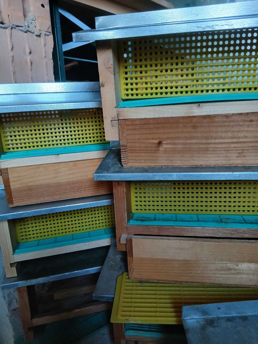 Colectoare de polen  din lemn.