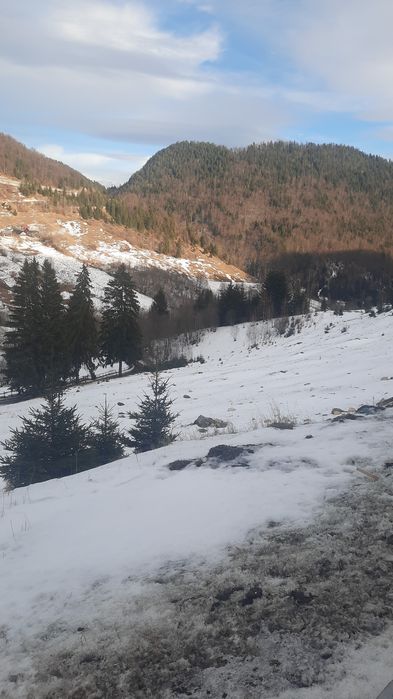 Teren la munte superb Ciocanu Dambovicioara