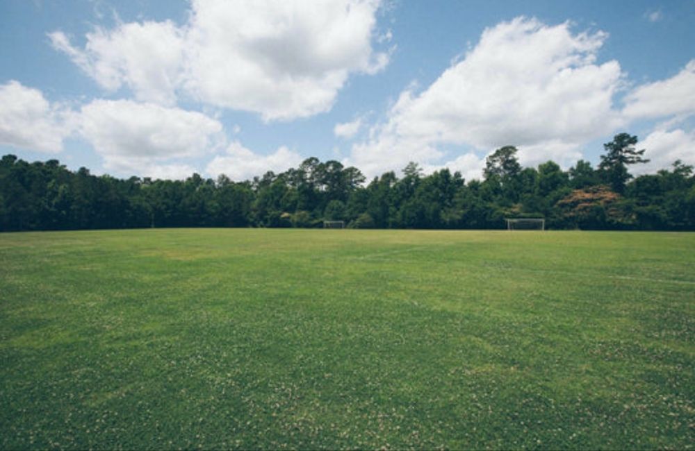 Футбольное поля строим под ключ с гарантией качества!