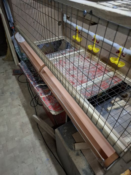 Клетка для бройлеров