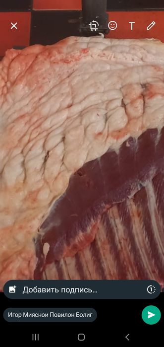 жылкы конина казы шек.