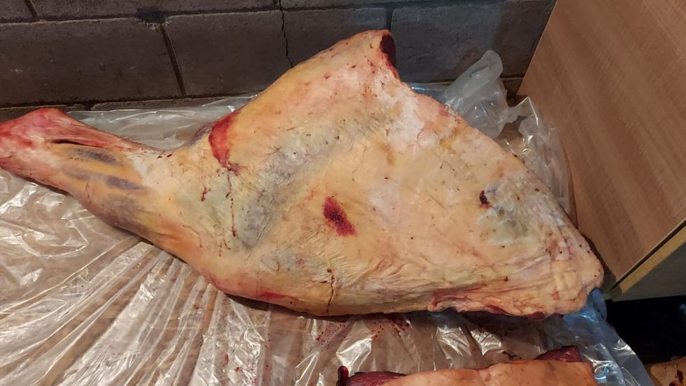 Продам конину мясо степное