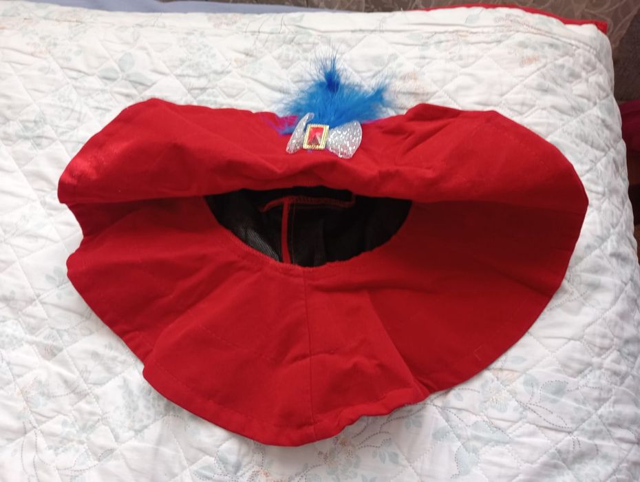 Карнавальные костюмы