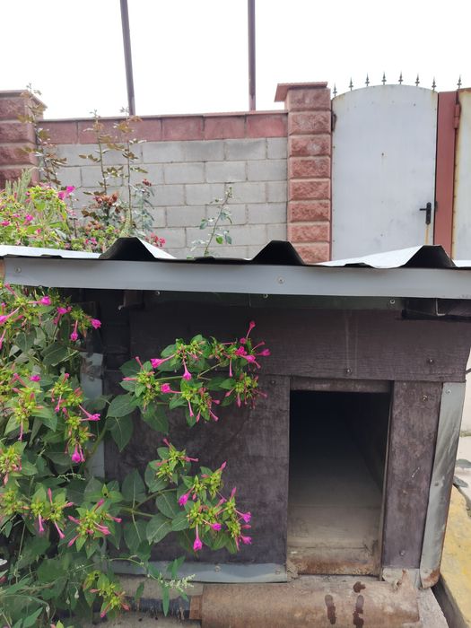 Продам домик для собаки.