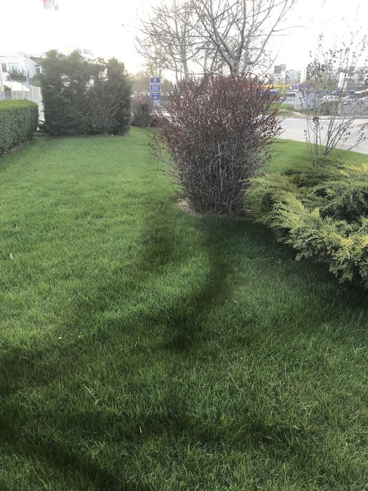 Професионално озеленяване и изграждане на поливни системи