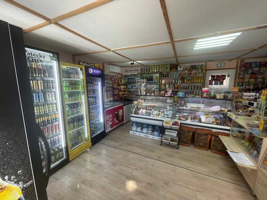 дом + магазин в Тепличном