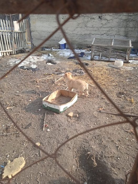 Всем привет . Срочно отдам.