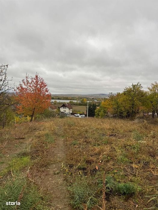 Teren de vanzare Podgoria