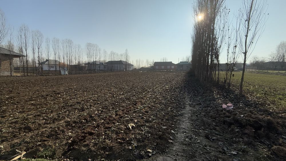 30 сотих Чиноз туман