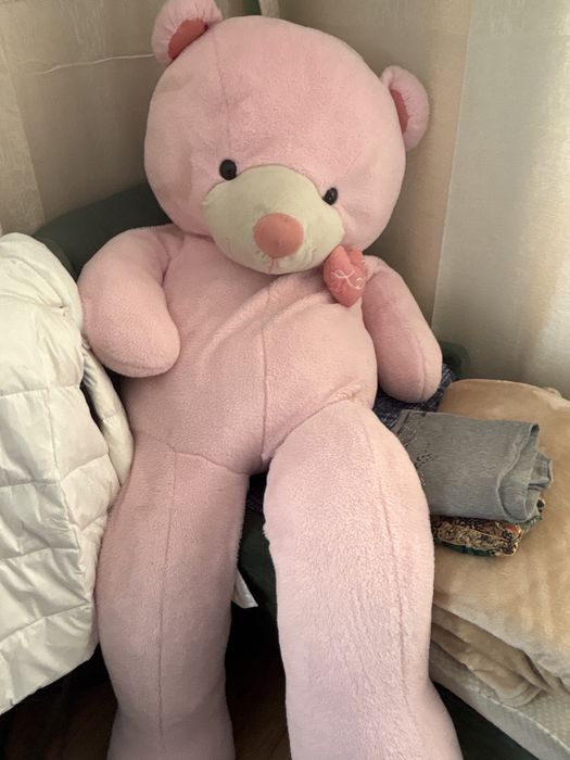 Продам медведей