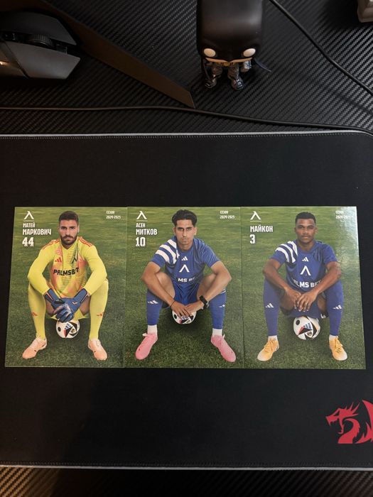 Левски София Карти 2024/25