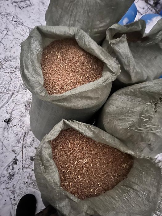 Продам зерноотходы