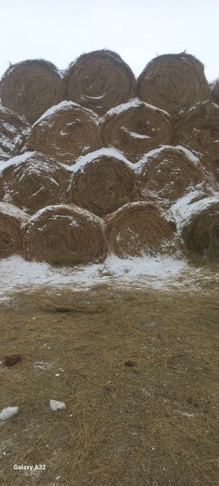 Продам сено.  Житняк.