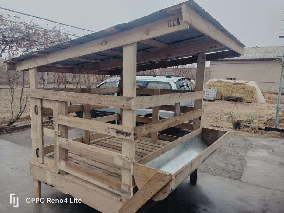 Қой қора бордақылауға