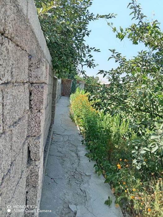 FOOD CITI Sergili Yangi Xayot 5 - Sotux 3 - xona