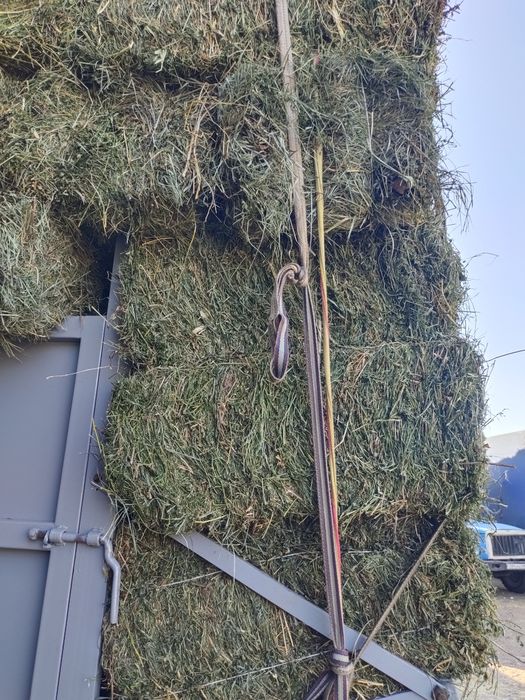 Сено клевер жонышка