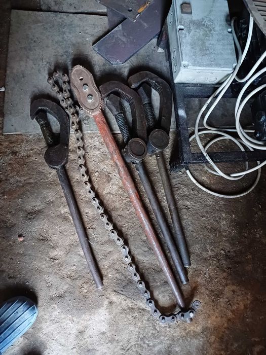 Cleste pspagal de vănzare de 2" si de 3"