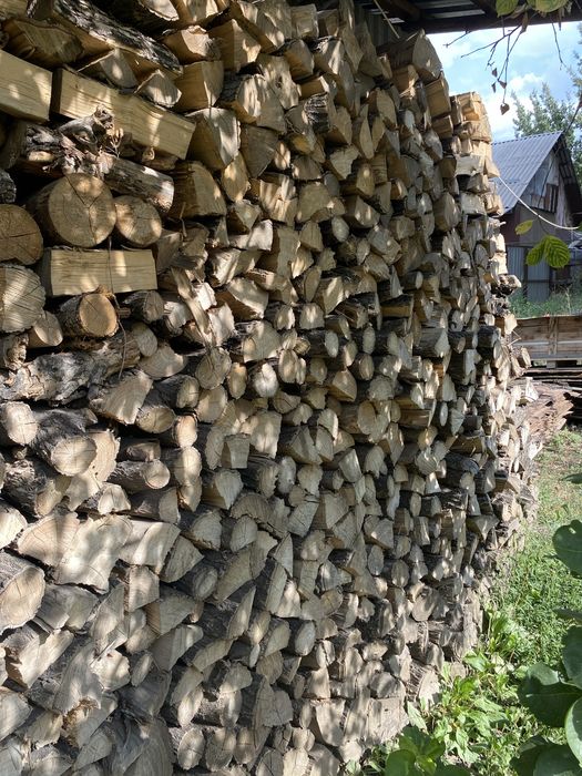 Дрова / Карагач / баня