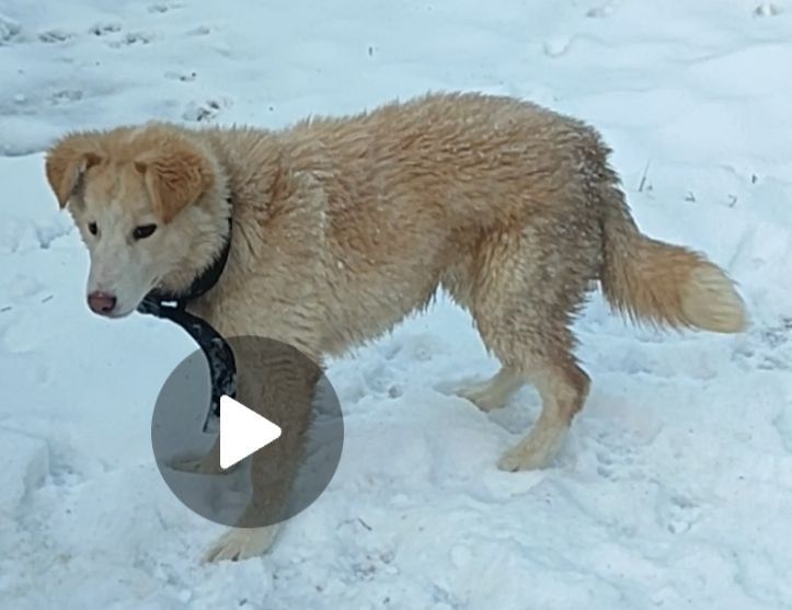 В добрые руки малыш