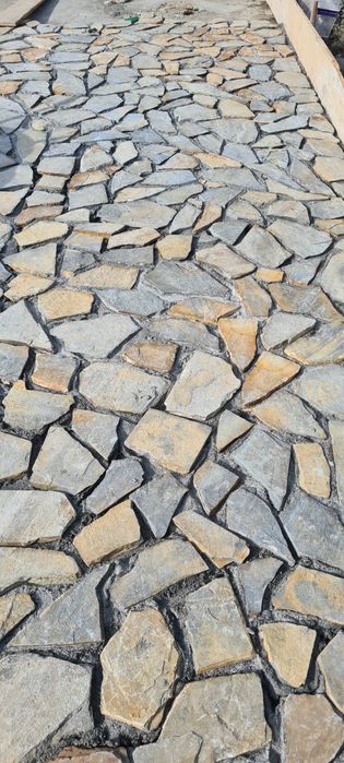 Piatră naturală de munte și plante ornamentale