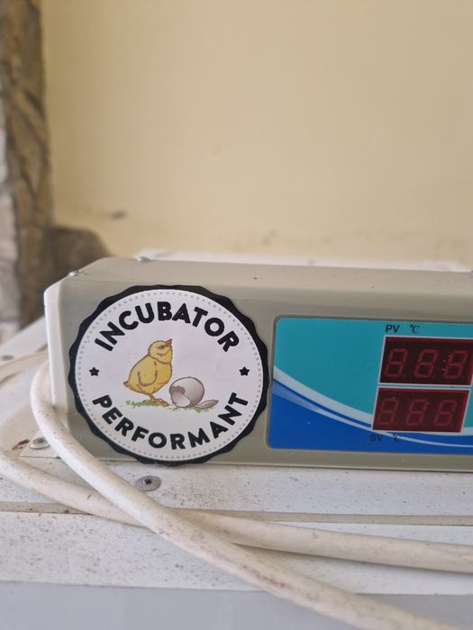 Incubator performant
