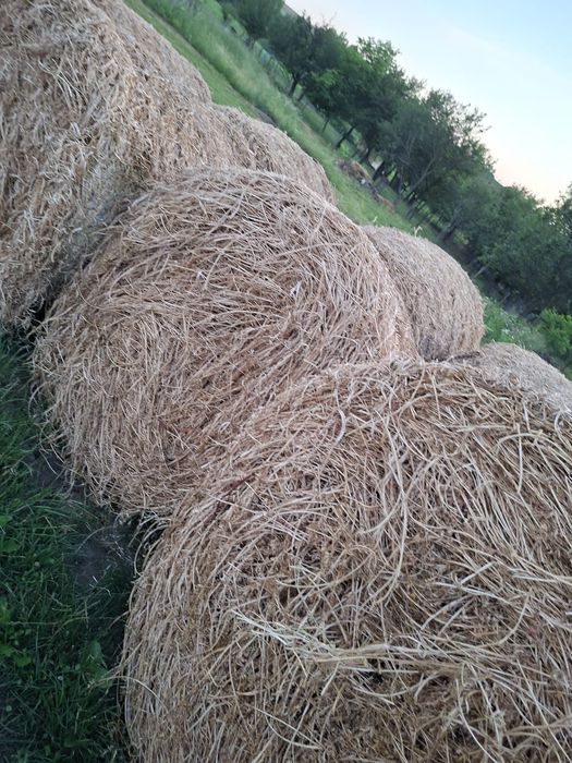 Vand baloți             .