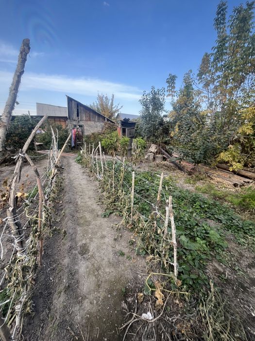 Продается дом с большим участком