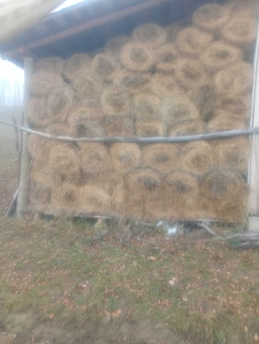 Vând baloți de fan