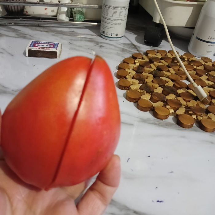 Отличные семена томатов на рассаду