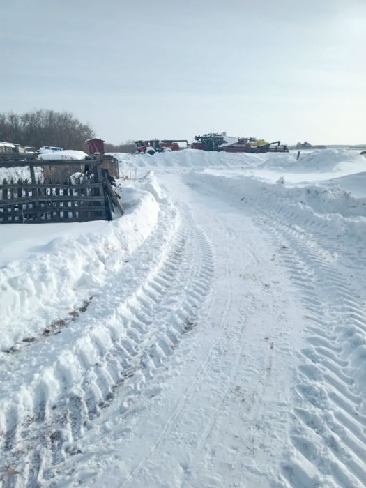Подам сено в скерде