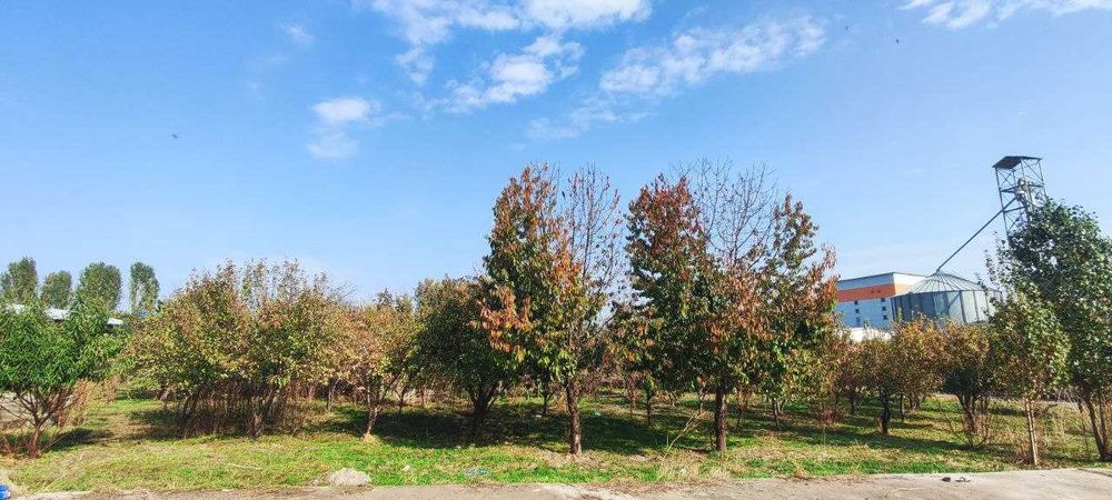 Продаётся земельный участок с постройкой