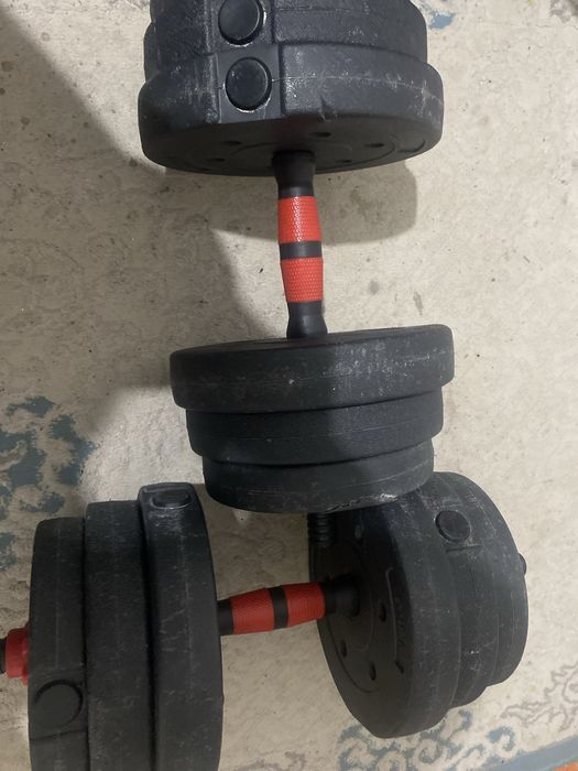 Штангы гантел сатамын