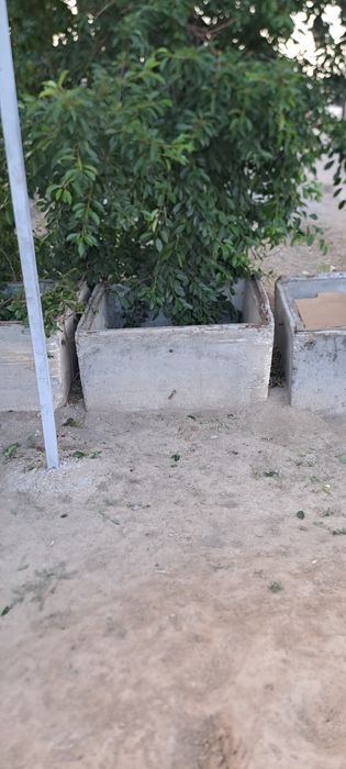 Бетонные блоки 3 ш
