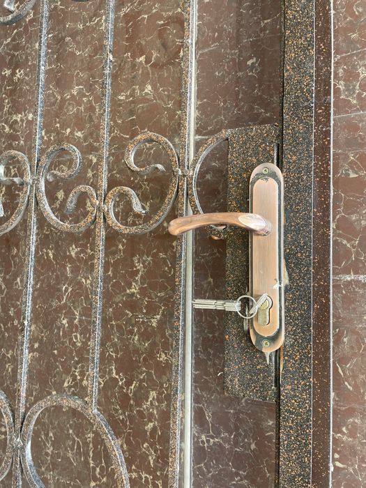 Решетка-дверь металлическая 80х200см