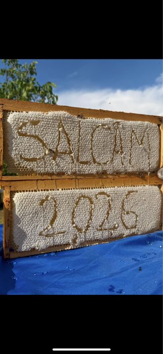 Miere salcam,miere poliflora,miere rapita,tinctura propolis,albine