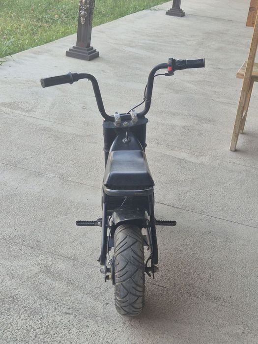 SKUTER cavalo brendi