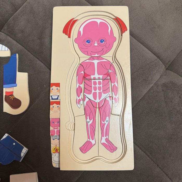 Puzzle din lemn, Corpul Uman 4 x 7 piese