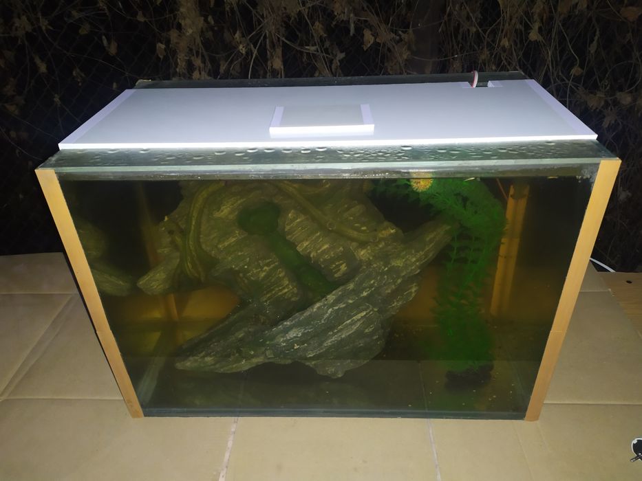 Аквариум 73л + бонусы и рыбки.