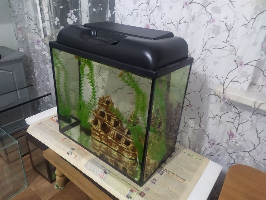 Новый аквариум 60л + бонусы и рыбки.