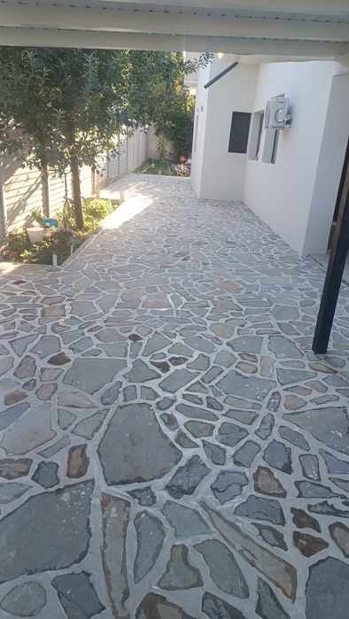 Vând brazi și baloți de cracă