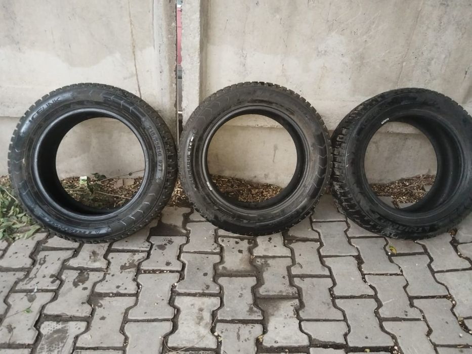 Зимние шины TRAINGLE