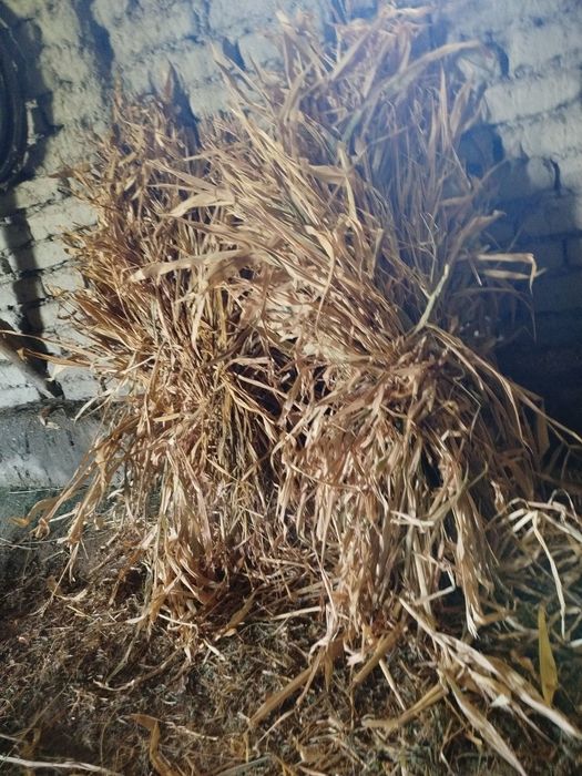 Мол  куелар  учун хашак Манзил Самарканд  Коттакурган