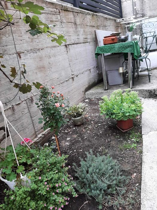 vand apartament cu o camera la casa, curte proprie, central in Dej