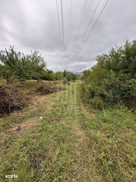 Teren intravilan de vânzare în Daia Nouă – 1.000 mp
