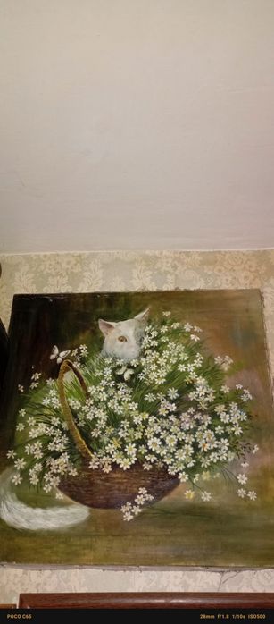 картина с белым котом, который смотрит  из за корзины цветов.